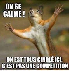 Image photo de profil