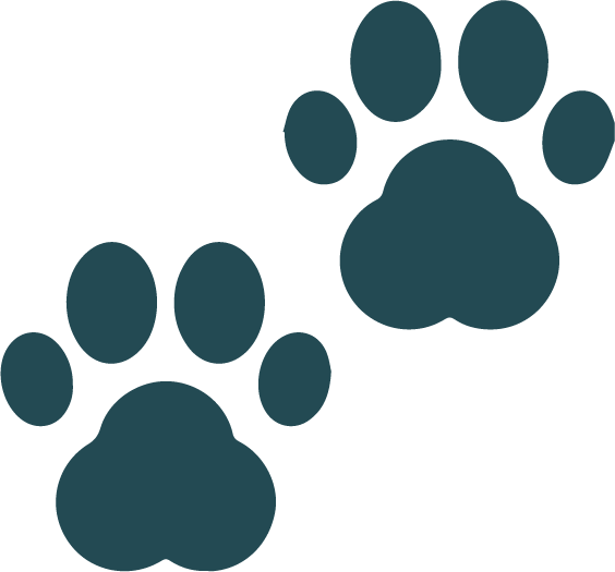 icone de Animaux autorisés