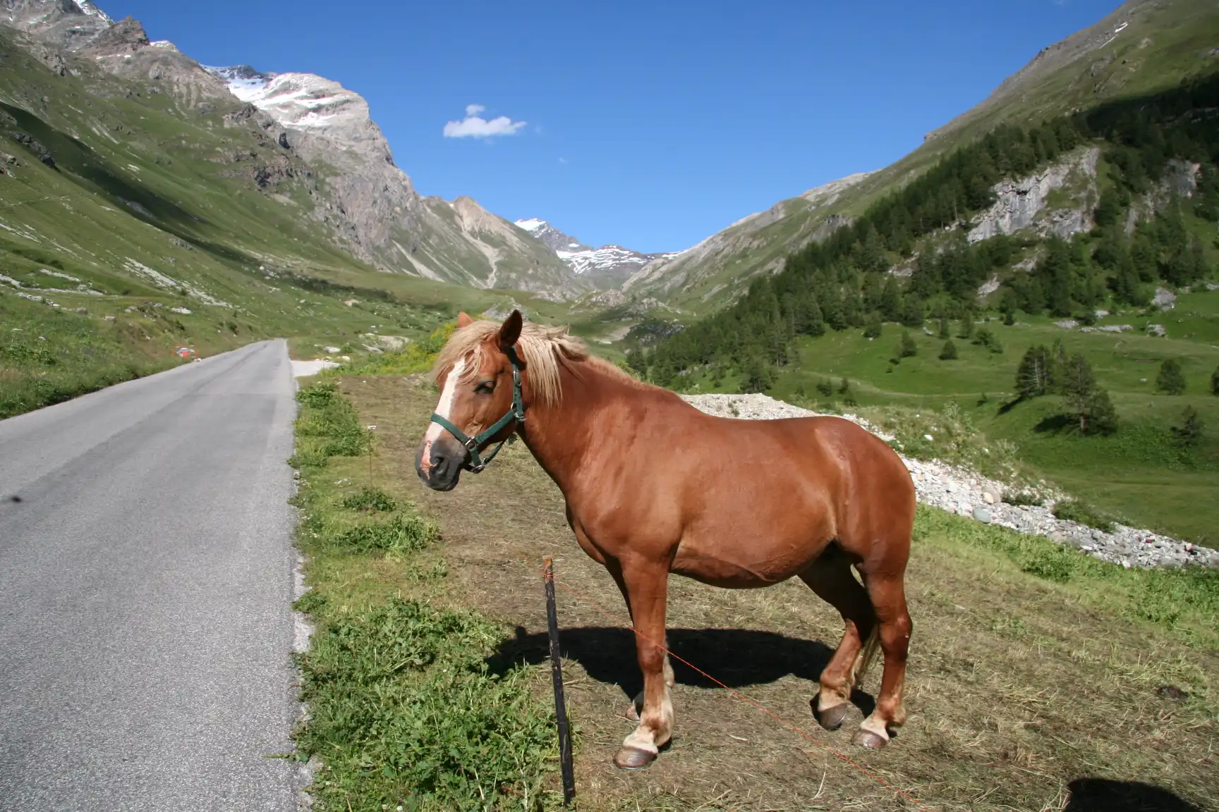 Image de Tour des Glaciers de la Vanoise