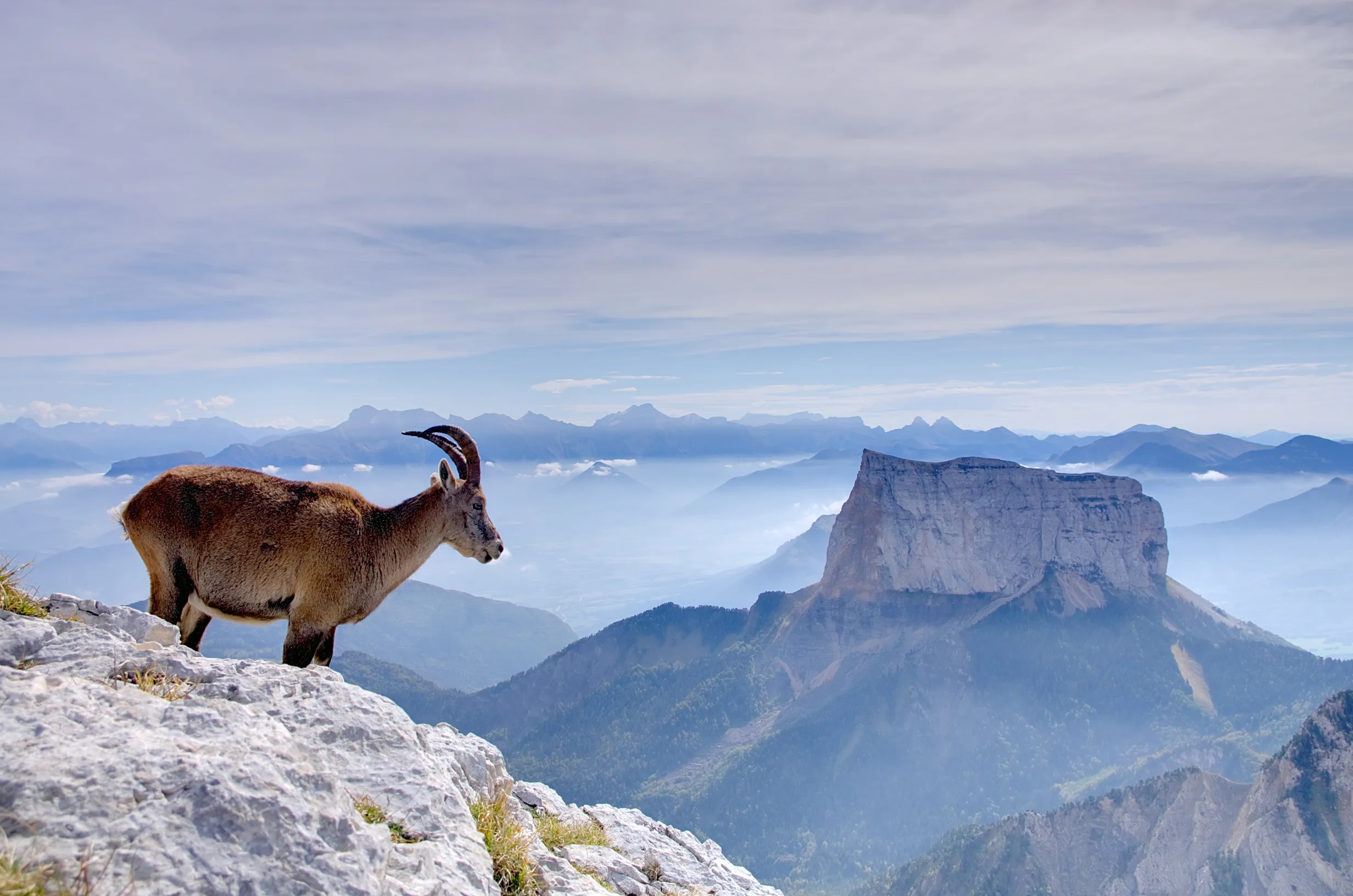 Image de Mont Aiguille